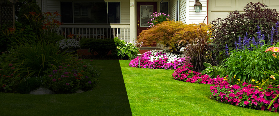 Horace Landscapers