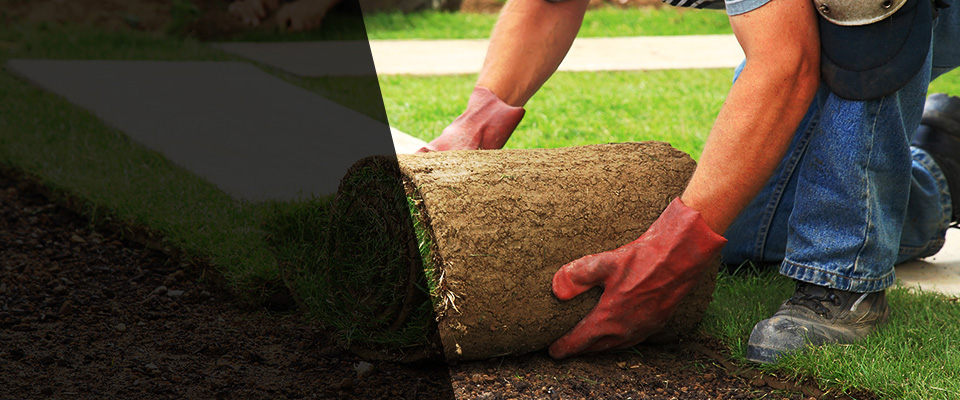 Horace Landscapers